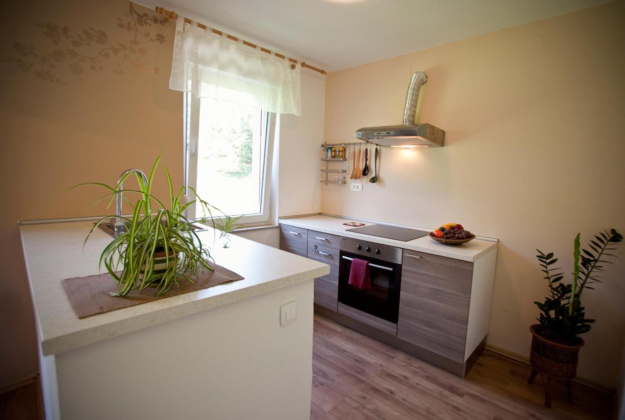 Apartments Soca Kobarid Bagian luar foto